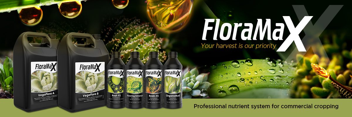 You are currently viewing FloraMax Feeding Guide: Benefits, Feed Charts & Tank Calculator