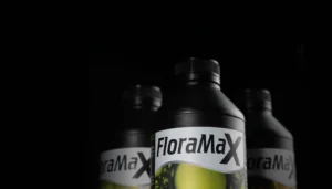 Home 10 Official FloraMax photograph of nutrient bottles