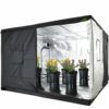 JUNGLE ROOM TENT 240X240X200 1