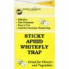 STICKY YELLOW FLY TRAP 2