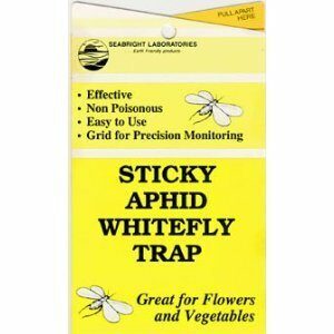 STICKY YELLOW FLY TRAP