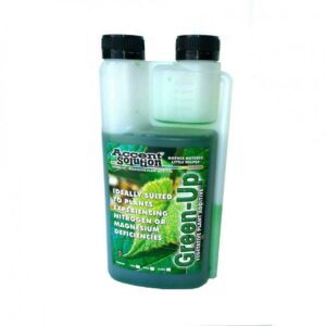 ACCENT GREEN UP 1L