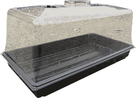 CLEAR LID AND TRAY SUPER DOME 530×270